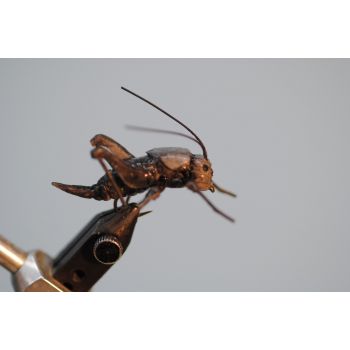 cricket fly patterns